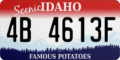 ID license plate 4B4613F
