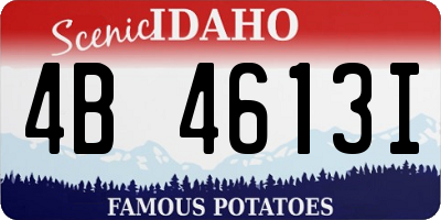 ID license plate 4B4613I