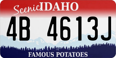 ID license plate 4B4613J