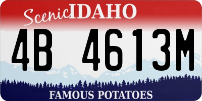 ID license plate 4B4613M