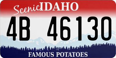 ID license plate 4B4613O