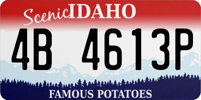 ID license plate 4B4613P