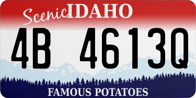 ID license plate 4B4613Q