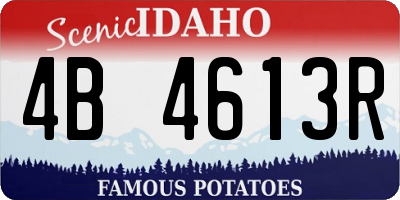 ID license plate 4B4613R