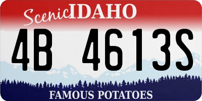 ID license plate 4B4613S