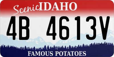 ID license plate 4B4613V