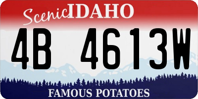 ID license plate 4B4613W