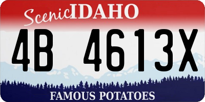ID license plate 4B4613X