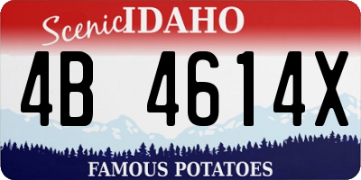 ID license plate 4B4614X
