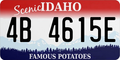 ID license plate 4B4615E