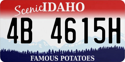 ID license plate 4B4615H