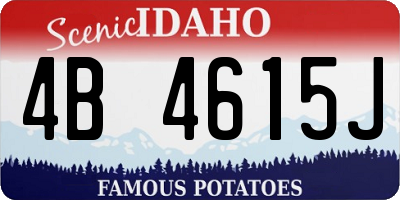 ID license plate 4B4615J