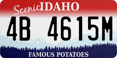 ID license plate 4B4615M