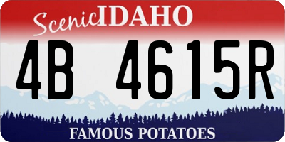 ID license plate 4B4615R