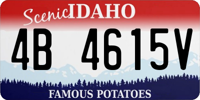 ID license plate 4B4615V