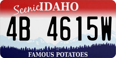 ID license plate 4B4615W