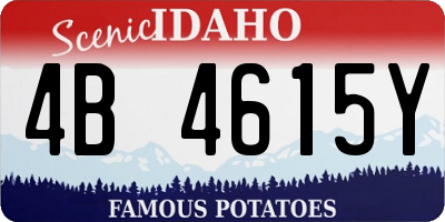 ID license plate 4B4615Y