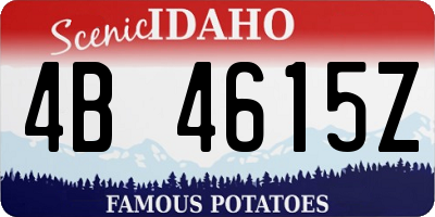 ID license plate 4B4615Z