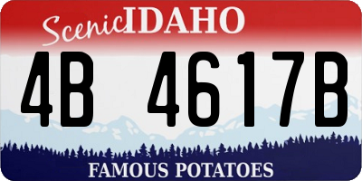 ID license plate 4B4617B