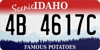 ID license plate 4B4617C