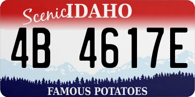 ID license plate 4B4617E