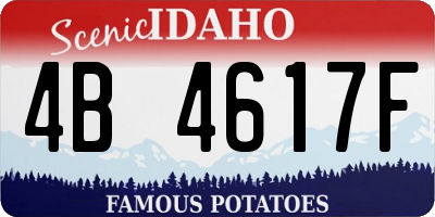 ID license plate 4B4617F