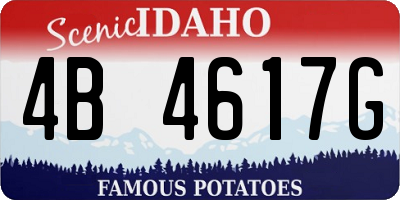 ID license plate 4B4617G