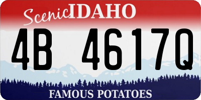 ID license plate 4B4617Q