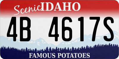 ID license plate 4B4617S