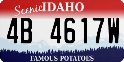 ID license plate 4B4617W
