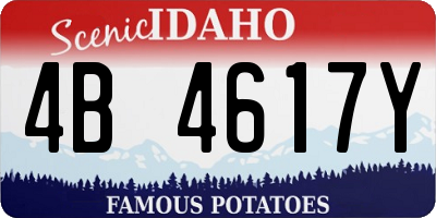 ID license plate 4B4617Y