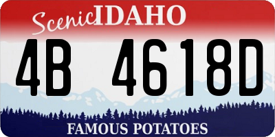 ID license plate 4B4618D