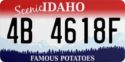 ID license plate 4B4618F
