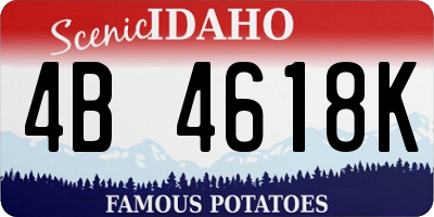 ID license plate 4B4618K