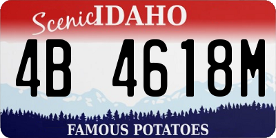ID license plate 4B4618M