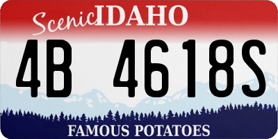 ID license plate 4B4618S