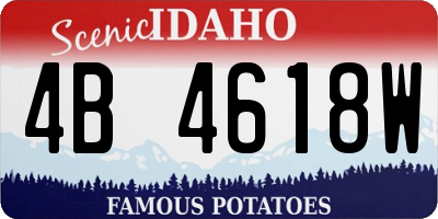 ID license plate 4B4618W