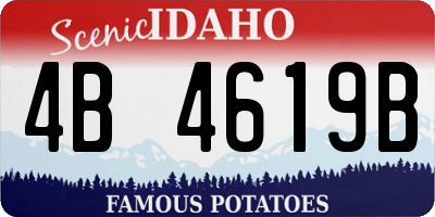 ID license plate 4B4619B