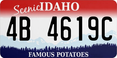 ID license plate 4B4619C