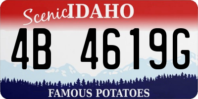 ID license plate 4B4619G