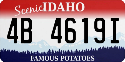 ID license plate 4B4619I
