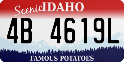 ID license plate 4B4619L