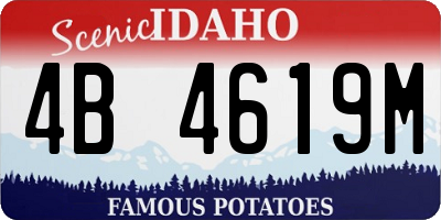 ID license plate 4B4619M