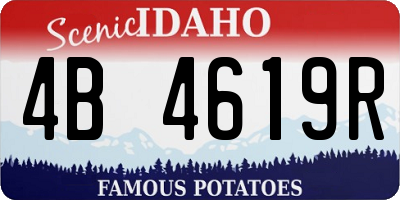 ID license plate 4B4619R