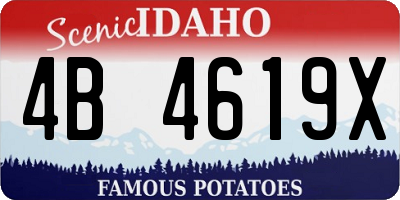 ID license plate 4B4619X