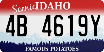 ID license plate 4B4619Y