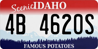 ID license plate 4B4620S