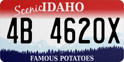 ID license plate 4B4620X