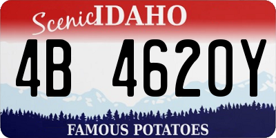 ID license plate 4B4620Y