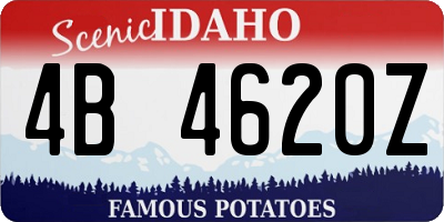 ID license plate 4B4620Z
